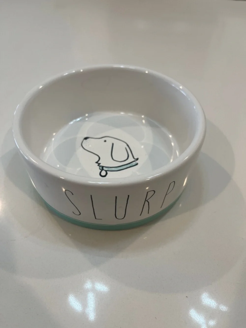 Ceramic Dog Bowl in White with Mint Accent - SLURP Design